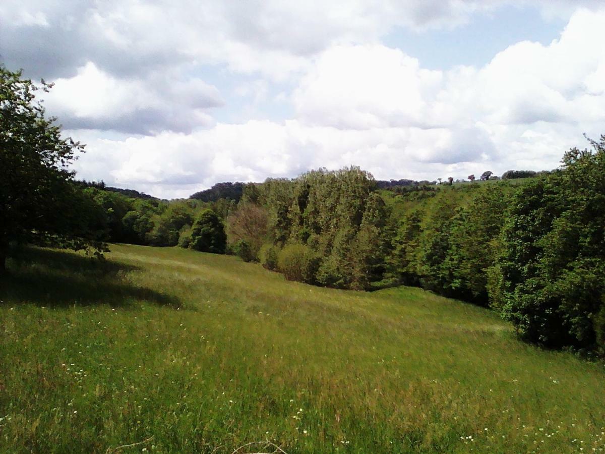 Chateau De La Lucaziere Mont-Saint-Jean  Kültér fotó