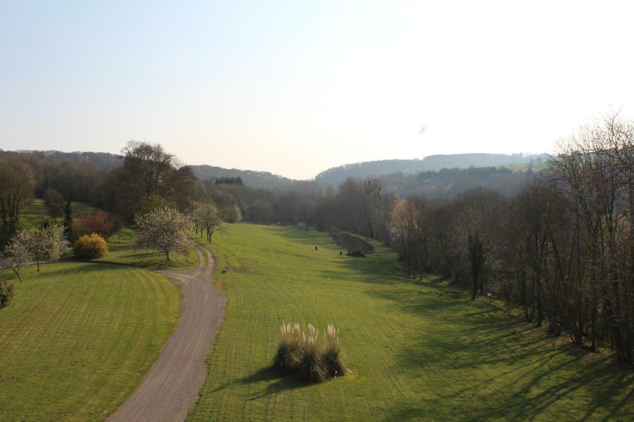 Chateau De La Lucaziere Mont-Saint-Jean  Kültér fotó